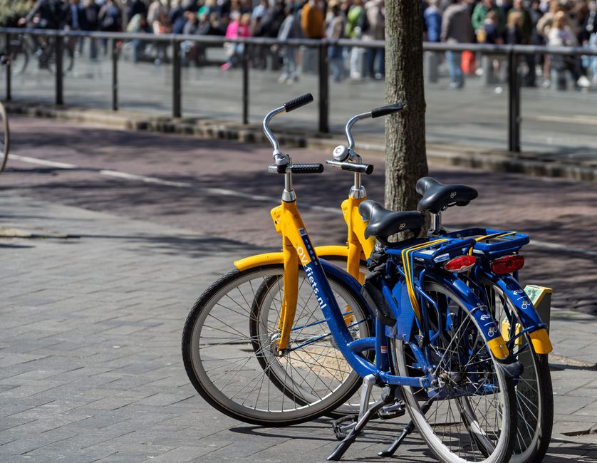 fietsverhuur, Den Bosch foto voor Fietsverhuur in Den Bosch: waar let je op?